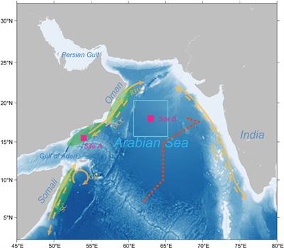 Role of ocean circulation and settling of particulate organic matter in the decoupling between the oxygen minimum zone and the phytoplankton productive zone in the Arabian Sea: A modeling study